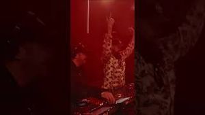 Video post by @gorgoncity on YouTube