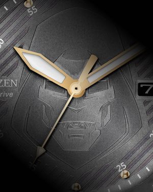 Image post by @citizenwatchus on Instagram