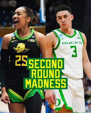 Image post by @goducks on Instagram