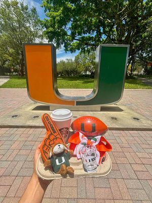Image post by @univmiami on Instagram