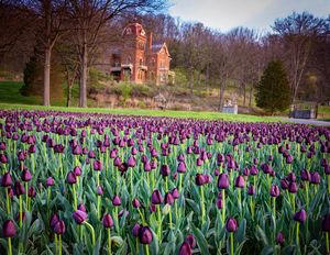 Image post by @ericdphoto on Instagram