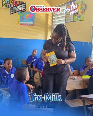Image post by @jamaicaobserver on Instagram
