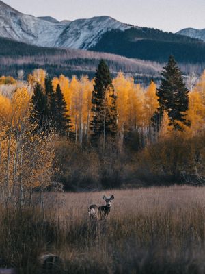 Image post by @kyle_petersen21 on Instagram