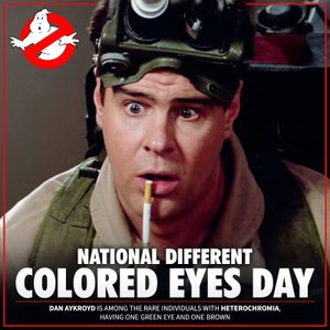 Image post by @ghostbustersnews on Instagram