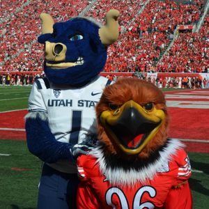 Image post by @utahswoop on Instagram