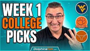 Video post by @dolphinstalk on YouTube