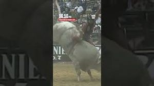 Video post by @pbr on YouTube