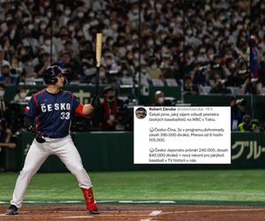 Image post by @BaseballCzech on Twitter