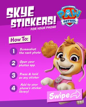 Image post by @pawpatrol on Instagram