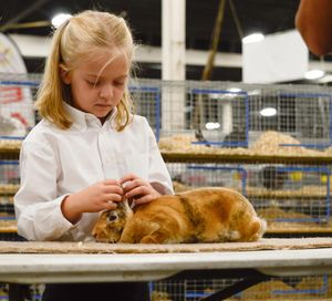 Image post by @michiganstatefair on Instagram