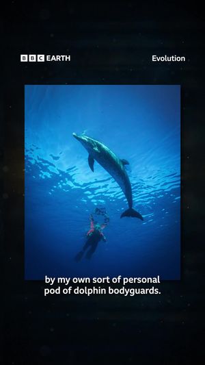 Video post by @bbcearth on TikTok
