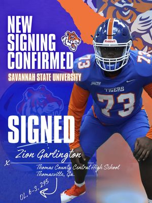 Image post by @savstatetigers on Instagram