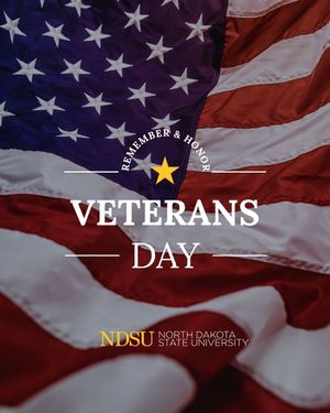 Image post by @ndsubusiness on Instagram