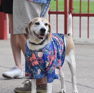 Image post by @GoSquirrels on Twitter