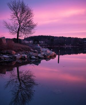 Image post by @themainemag on Instagram