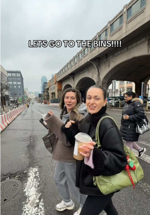 Video post by @dinapalevic on TikTok