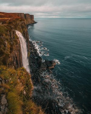 Image post by @danigoinhamm on Instagram