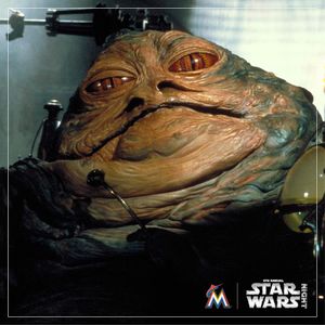 Image post by @marlins on Instagram