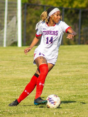 Image post by @gojsutigers on Instagram