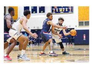 Image post by @sabinashyshphoto on Instagram