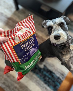 Image post by @timscascadesnacks on Instagram