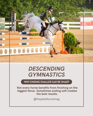 Image post by @theplaidhorsemag on Instagram