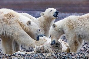 Image post by @natgeo on Instagram