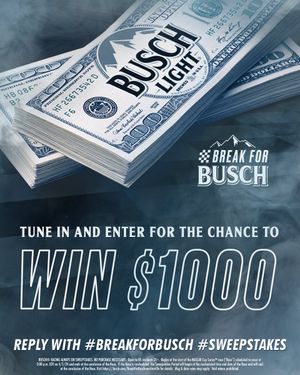 Image post by @BuschBeer on Twitter