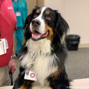 Image post by @uchealth on Instagram