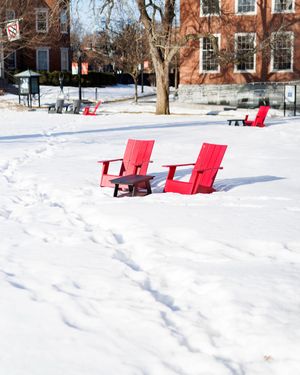 Image post by @harvard on Instagram