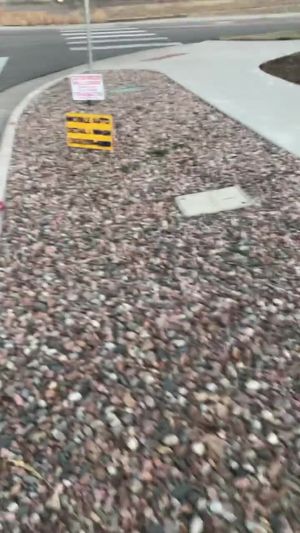 Video post by @Guinnessgarage on Facebook