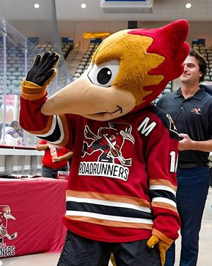 Image post by @roadrunnersahl on Instagram