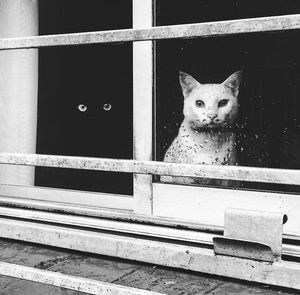 Image post by @fubiz on Instagram