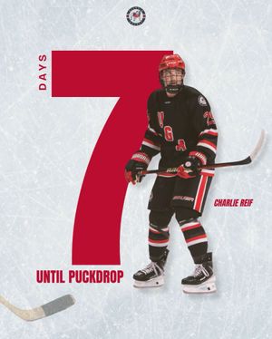 Image post by @ugahockeyd3 on Instagram