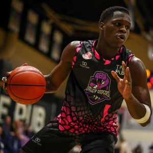 Image post by @plaidsheepcreative on Instagram