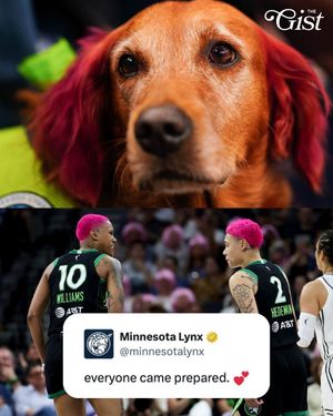 Image post by @thegistca on Instagram