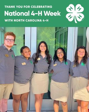 Image post by @northcarolina4h on Instagram