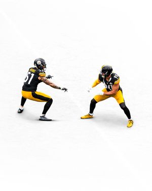 Image post by @steelers on Instagram