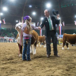 Image post by @nationalwestern on Instagram
