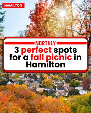 Image post by @northlyhamilton on Instagram