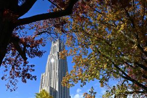 Image post by @pittadmissions on Instagram