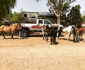 Image post by @bigbrandtire on Instagram