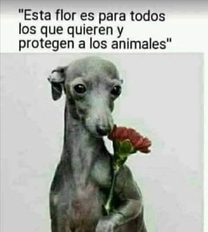Image post by @redlatina on Facebook