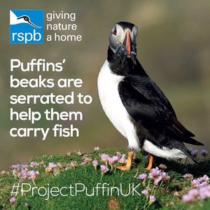 Image post by @rspb on Instagram