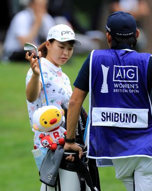 Image post by @pingtour on Instagram