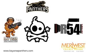 Image post by @panthersifl on Instagram
