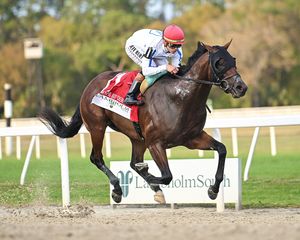 Image post by @thebloodhorse on Instagram