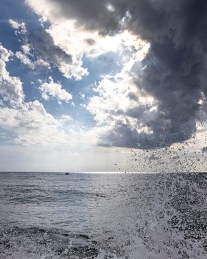 Image post by @cristan.nature.photography on Instagram
