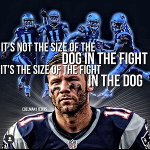 Image post by @je11.nation on Instagram