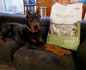 Image post by @diamondpetfoods on Instagram
